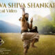 Shiva Shiva Shankaraa